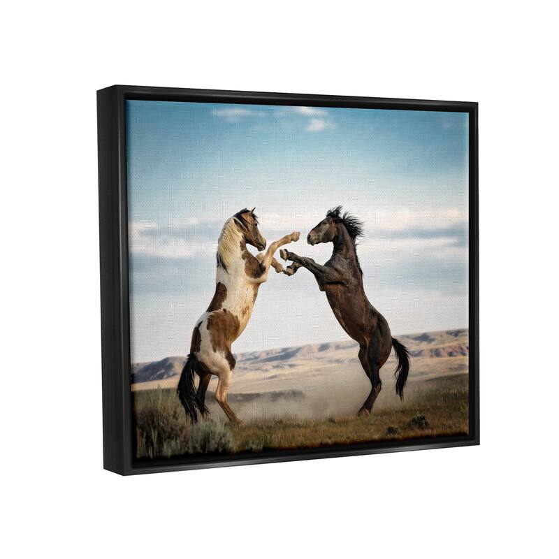 Stupell Fighting Horses Photography Framed Floater Canvas Wall Art Design by PBurchettePhoto