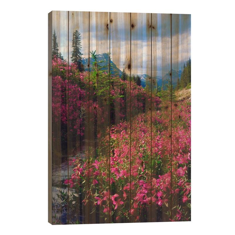 Wildflowers, Banff National Park, Alberta, Canada Print On Wood by Christopher Talbot Frank - Multi-Color - 40x26x1.5
