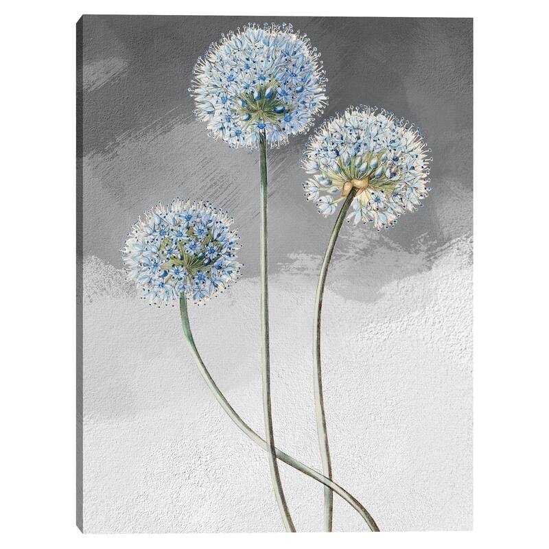 Blue Leek Grey Canvas Art Print