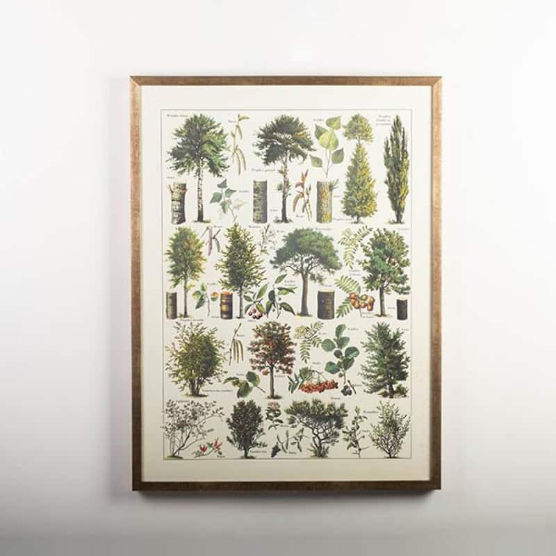 Framed Print Arbres- Trees Wall Decor