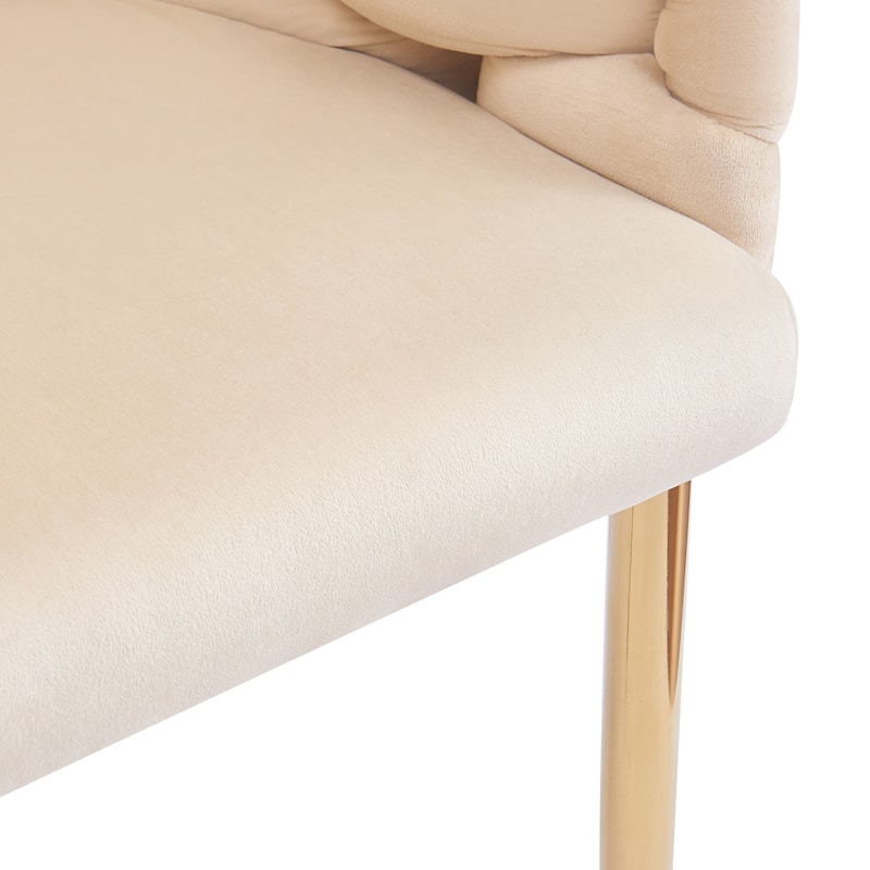 Set of 2 Luxury Handmade Accent Chair with Gold Legs, Modern Velvet Armchair for Living Room and Bedroom