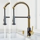 preview thumbnail 83 of 156, VIGO Edison 19" H Single Handle Pull-Down Sprayer Kitchen Faucet