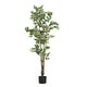 preview thumbnail 5 of 7, Christopher Knight Home - Alexander Artificial Ficus Tree with Black Plastic Pot
