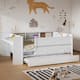 Option White