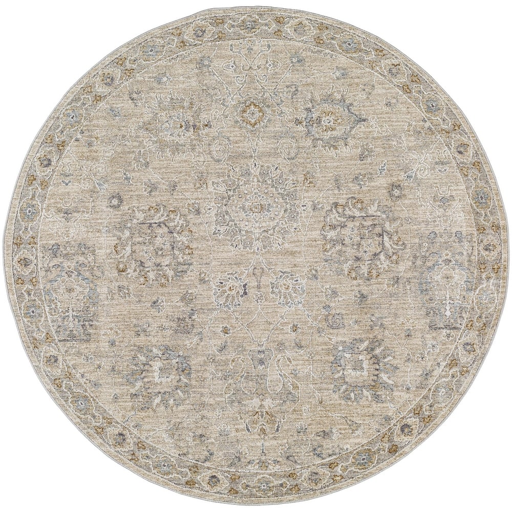 Livabliss Avant Garde Traditional Area Rug