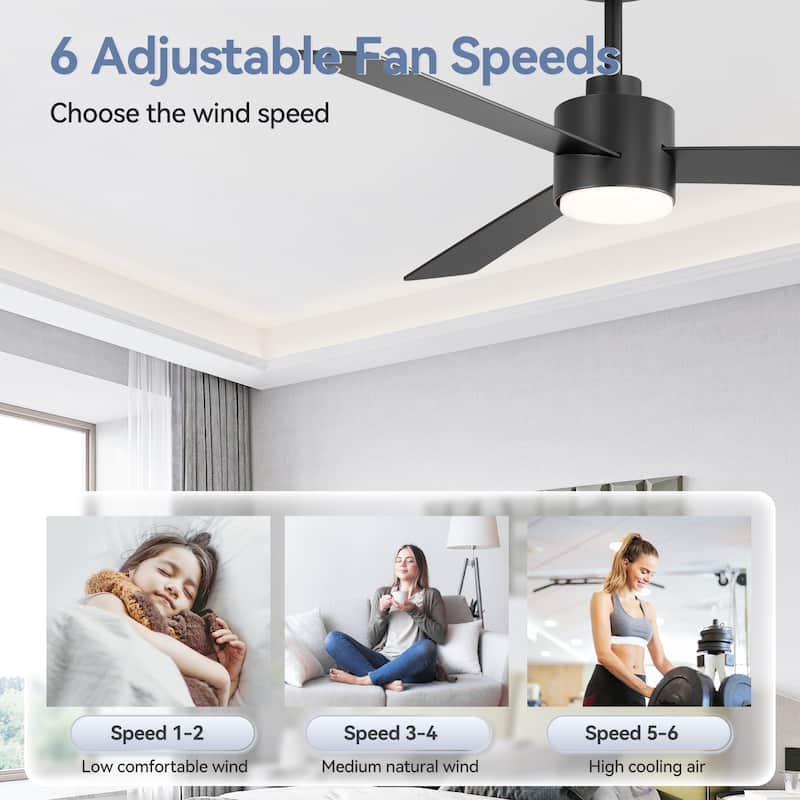 52-inches 3-Blade Ceiling Fan With Remote Downrod