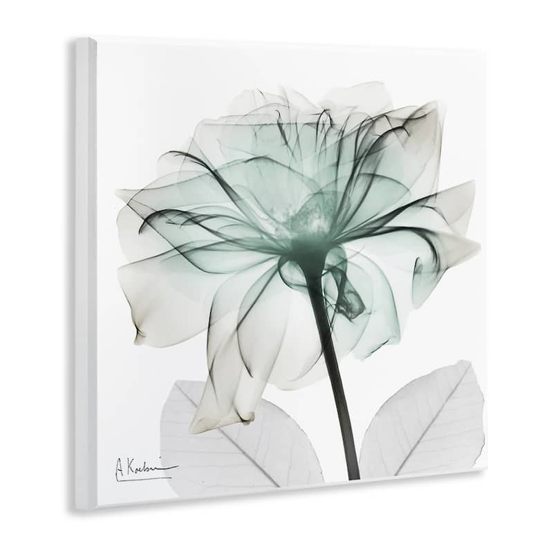 Stupell Unique Chic Flower Petal Wall Plaque Art Design By Albert Koetsier