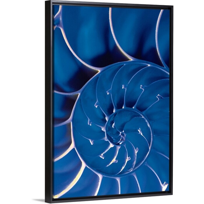 Cross Section Of Blue Nautilus Shell Black Float Frame Canvas Art Overstock