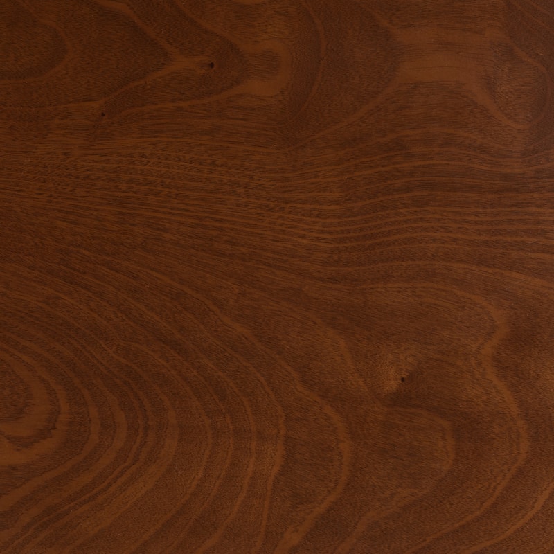 Eveline Modern Brown Finished Wood 43-Inch Dining Table