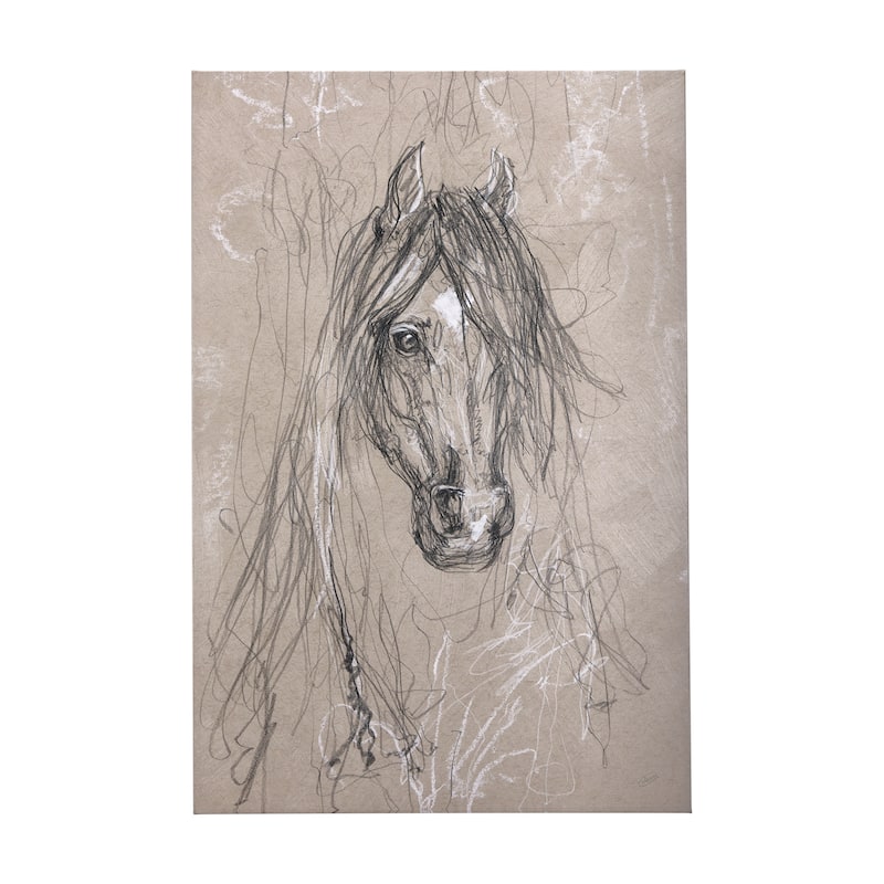 Sketch of Animal VII (Horse) (40 x 60) Canvas Art Print - Large
