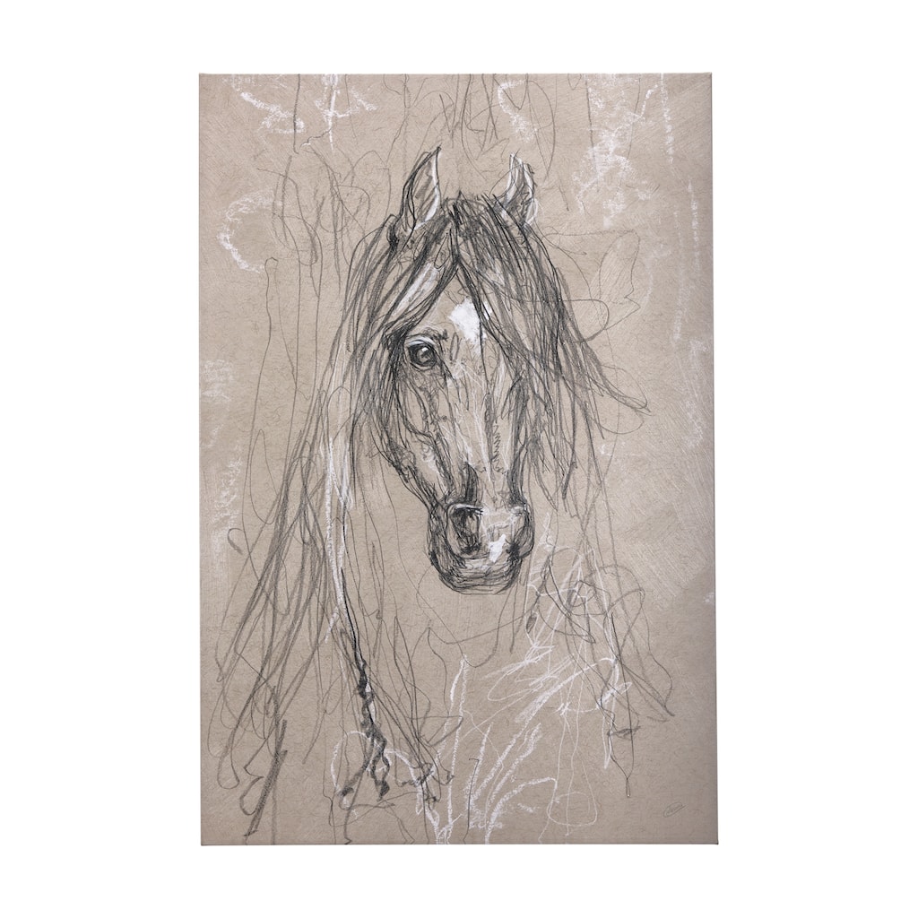 Sketch of Animal VII (Horse) (40 x 60) Canvas Art Print