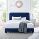 preview thumbnail 6 of 52, Celine Channel Tufted Performance Velvet Queen Platform Bed
