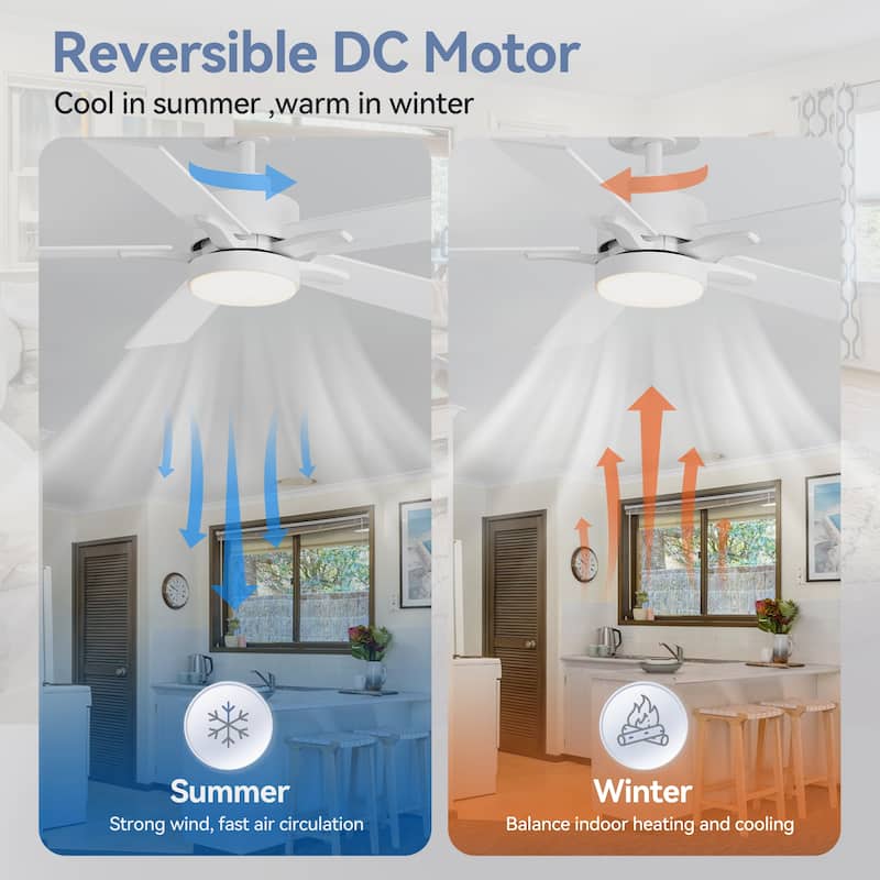 42" 5-Blade Black/White Modern LED Ceiling Fan with Light and Remote