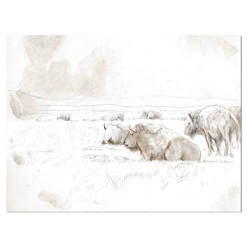 Designart "Wild Bison Buffalo Sketch" Farmhouse Animal Print on Wrapped Canvas - 20 in. wide x 12 in. high