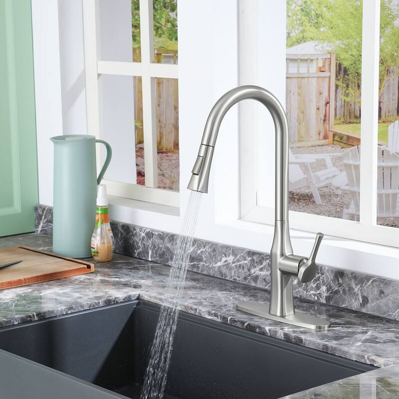 Single-Handle Pull-Out Sprayer Kitchen Faucet