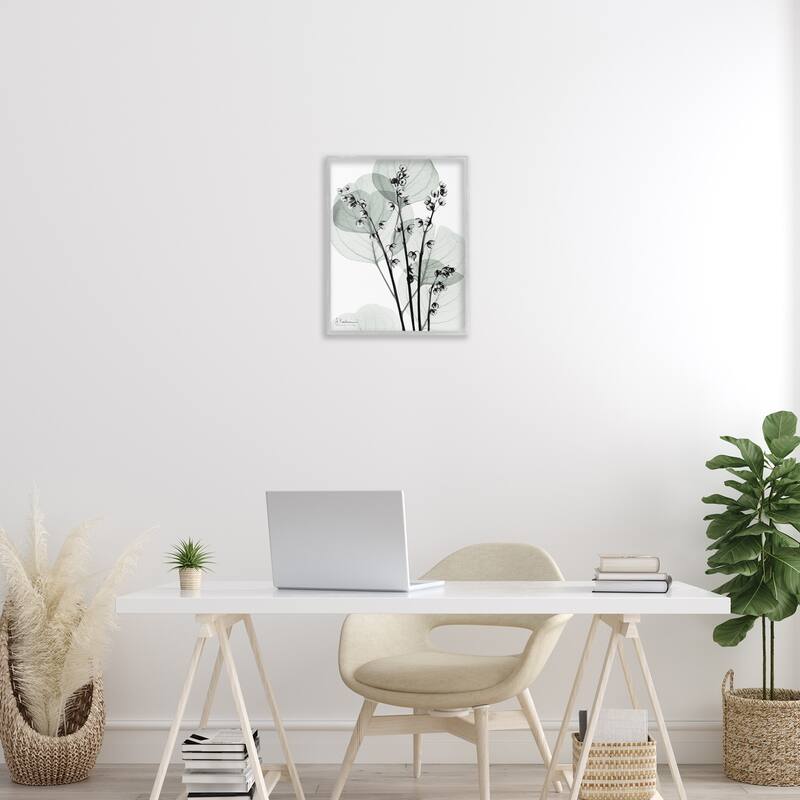 Stupell Fresh Minimalist Herbs Framed Giclee Art Design By Albert Koetsier