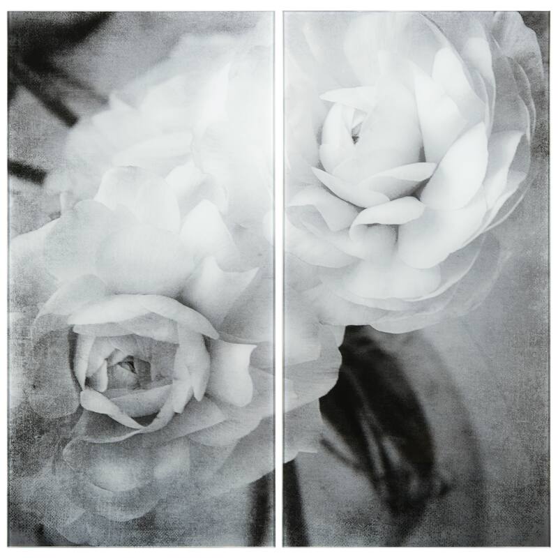 Dark Ranunculus I AB Frameless Free Floating Tempered Glass Panel Graphic Wall Art Set of 2