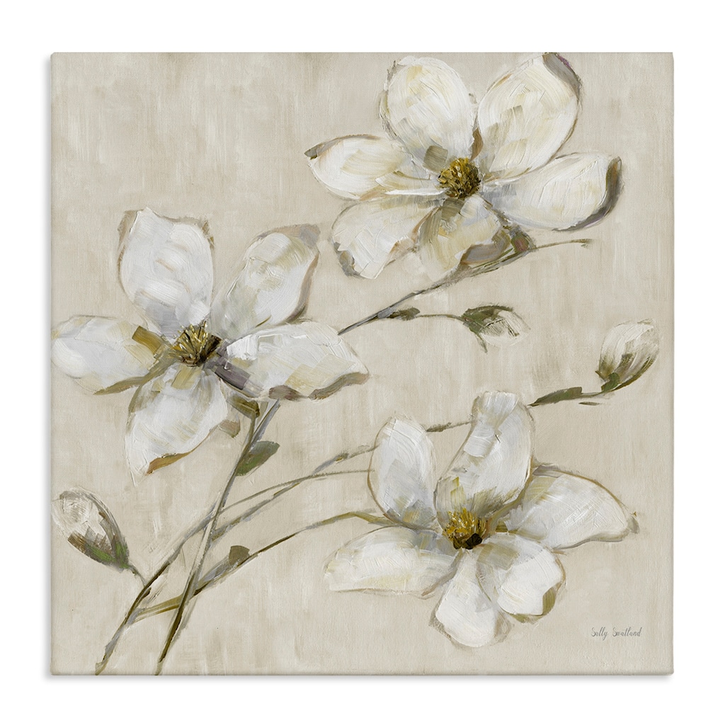 Stupell Neutral Tone Dogwood Flowers Canvas Wall Art Design By Sally Swatland