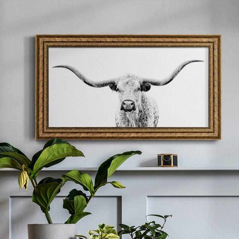Longhorn Gaze Premium Framed Canvas- Ready to Hang