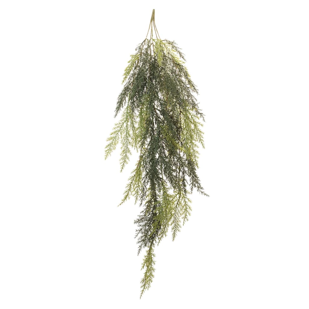 Cedar Hanging Vine (Set of 2)