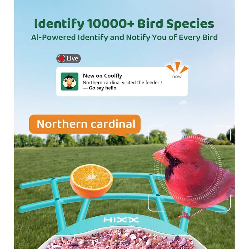 Smart Bird Feeder with Camera 2K HD Live