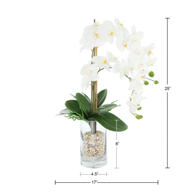 Orchids Arranged in Glass Vase with Rocks - 25