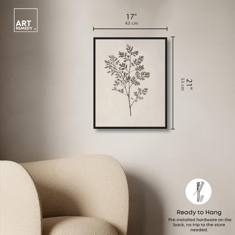 Aniseed Anatomy II Canvas Delicate Floral by Art Remedy