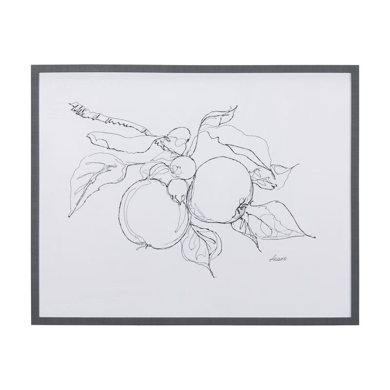 Fruit Sketch Apple Framed Art Print