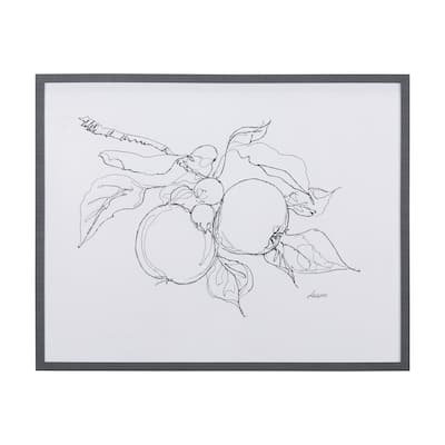 Fruit Sketch Apple Framed Art Print