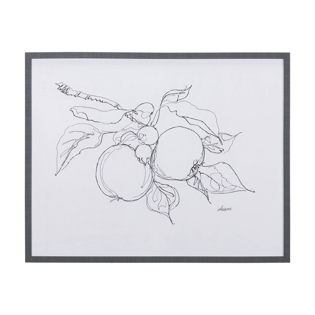 Fruit Sketch Apple Framed Art Print