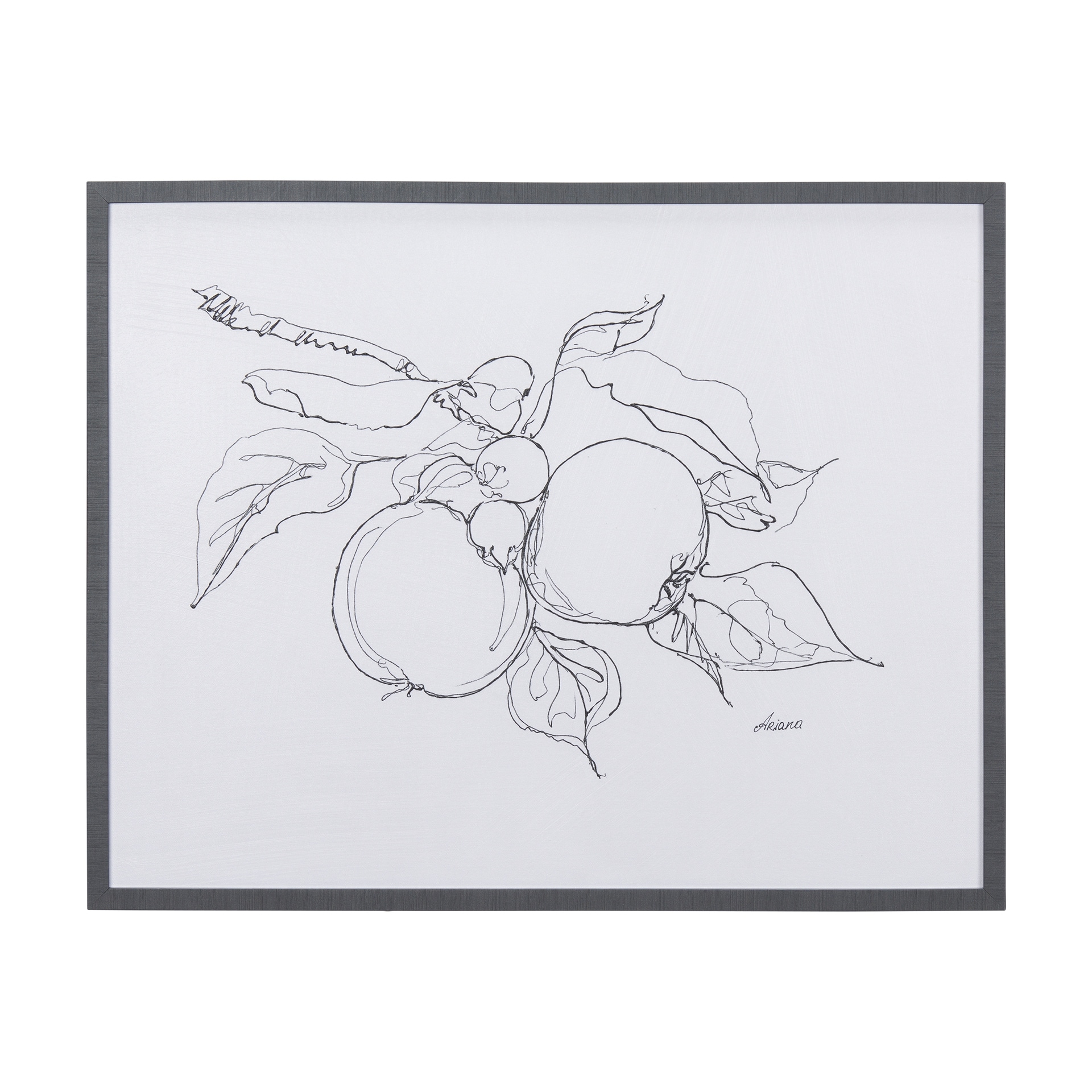 Mercana Fruit Sketch Apple by Mercana Studio a Hand Embellished Textured Framed Art Print