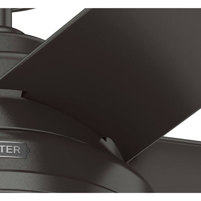 Hunter 44" Seawall Wet Rated Ceiling Fan with LED Light Kit and Pull Chain