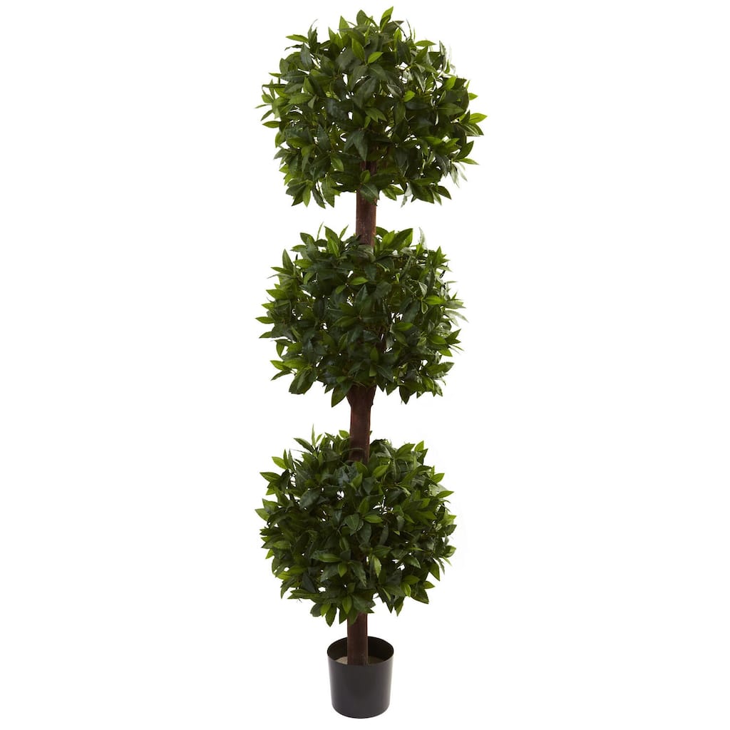 Sweet Bay Topiary Tree - 6.5ft Indoor Outdoor Ball Planter - Timeless Home Decor - 6.5ft.