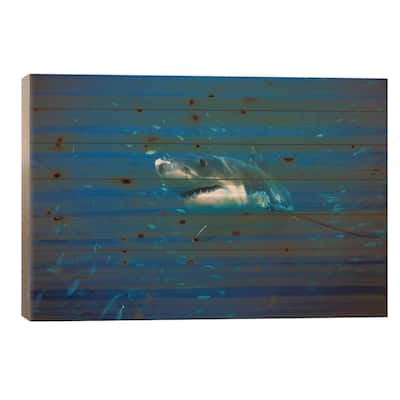 Great White Shark Swimming Through A School Of Fish, Neptune Islands, South Australia Print On Wood by Mike Parry - Multi-Color