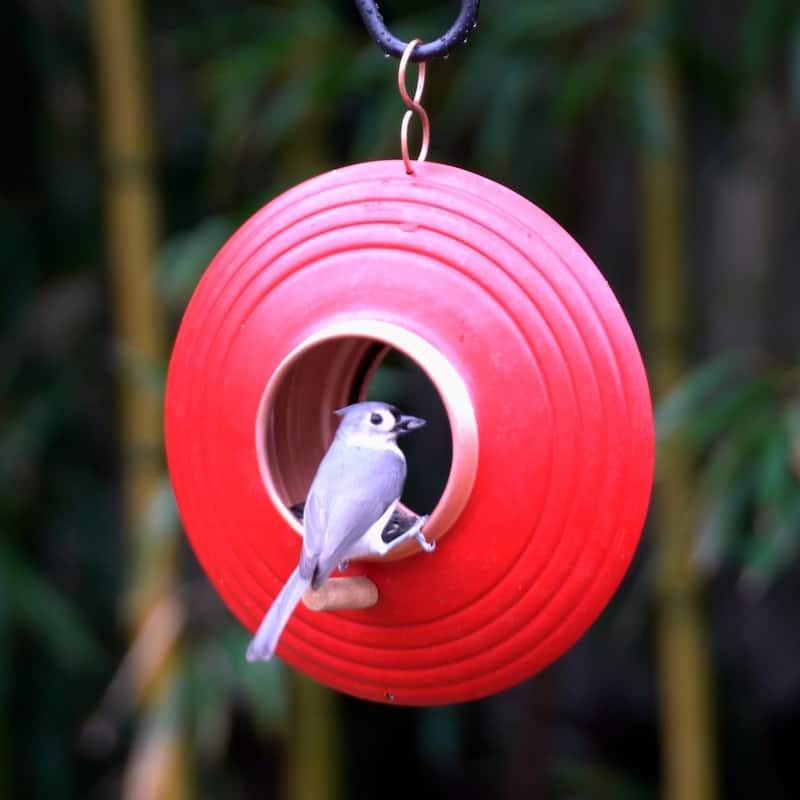 Mojave Fly Thru ™ Bird Feeder, Copper Accents, Multiple Perches by Good Directions