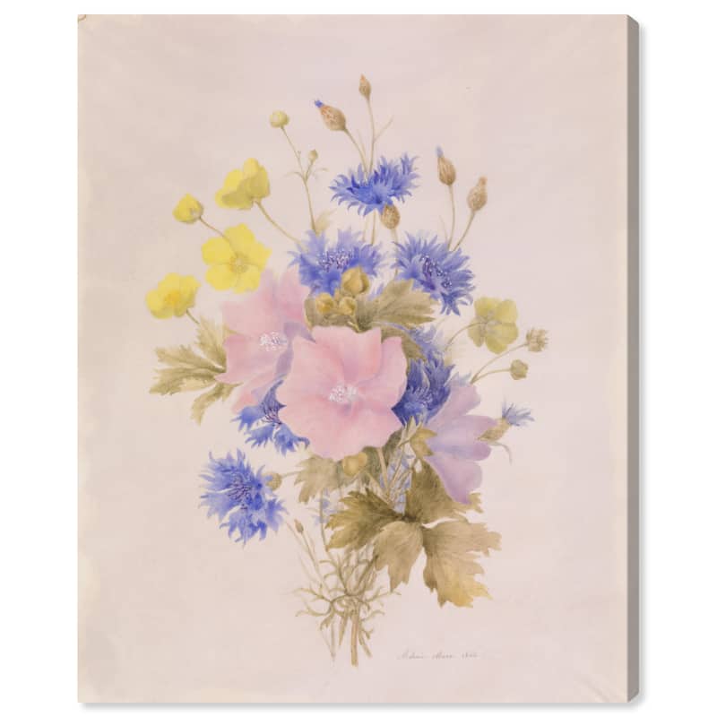 Wynwood Studio Canvas Floral and Botanical Field Flowers by Melanie Marc Pink and Light Pink Traditional Wall Art Canvas Print