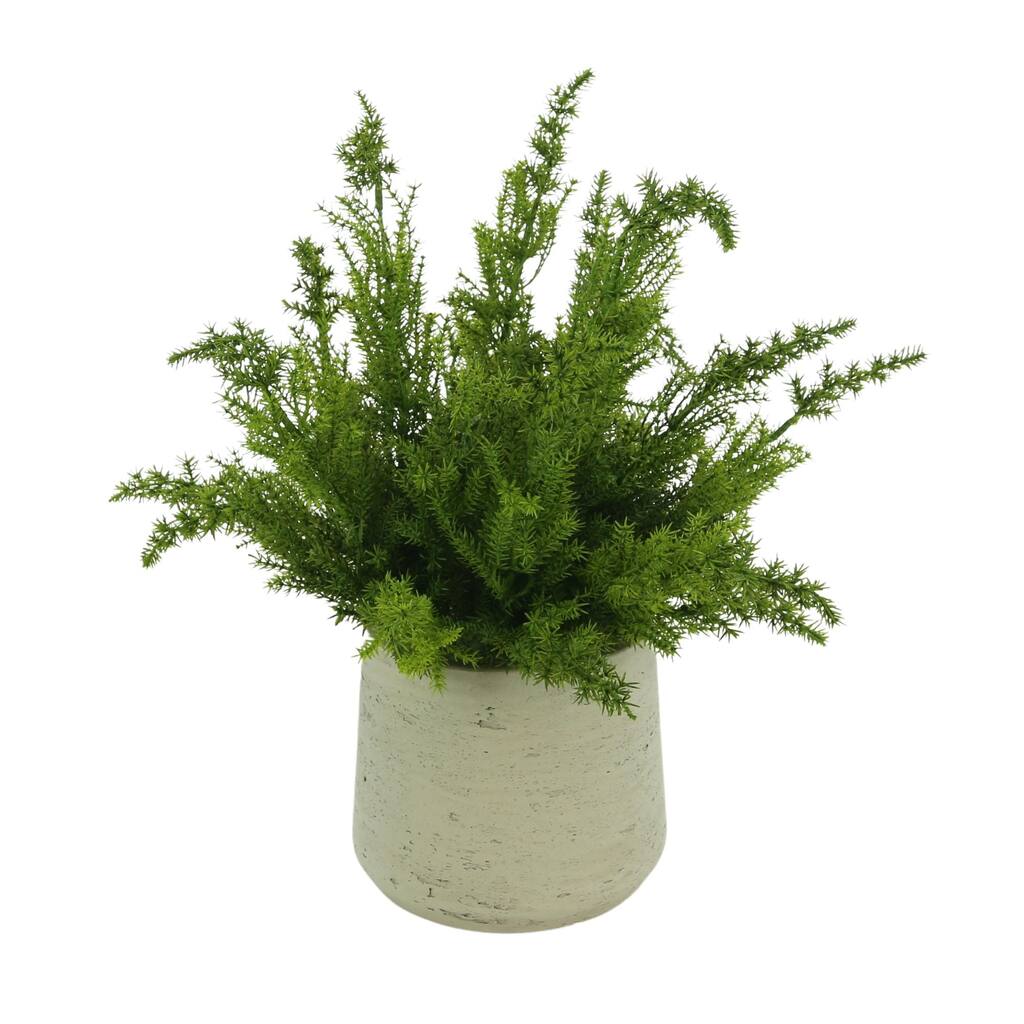 Cedar Arranged in Fiberstone Pot - Green