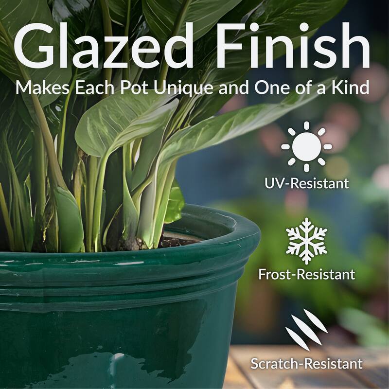 Sunnydaze Studio Glazed Ceramic Planter with Drainage - Dark Green - 15"