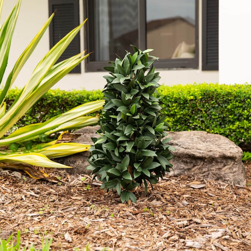 3-ft UV Resistant Artificial Laurel Plant with Integrated Stake