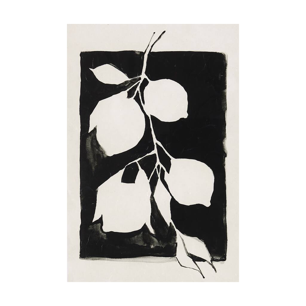 Lemon Branch Silhouette (40 x 60) Canvas Art Print