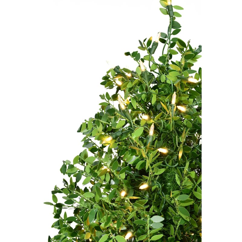 Fraser Hill Farm 3-Ft. Boxwood Porch Tree in Black Pot with Warm White Lights