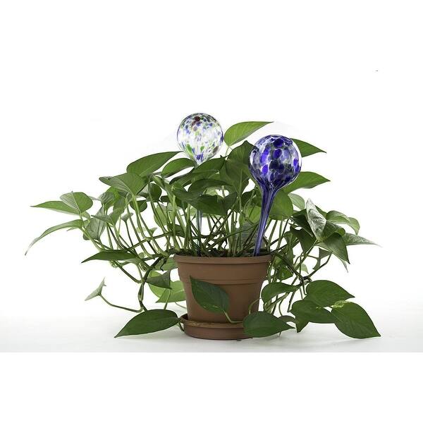 2Pcs Watering Globes Glass Plant Watering Bulbs - Bed Bath & Beyond -  41239189