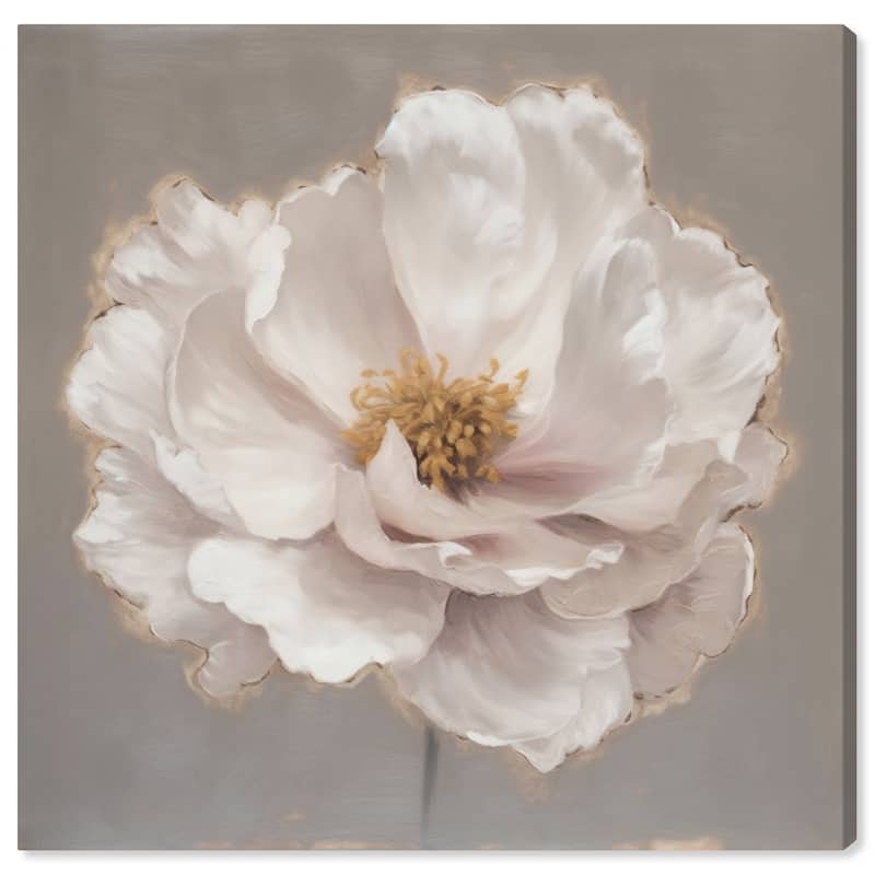 Wynwood Studio Canvas Floral and Botanical Soft Creamy Flower White and French Country Wall Art Canvas Print - White, Gray