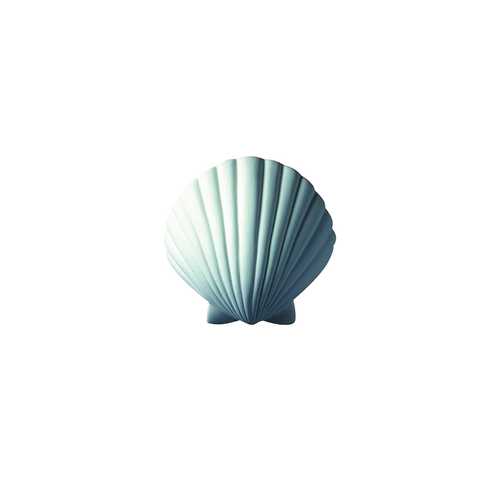 Porch & Den Foresta Scallop Shell Ceramic 1-light ADA Sconce