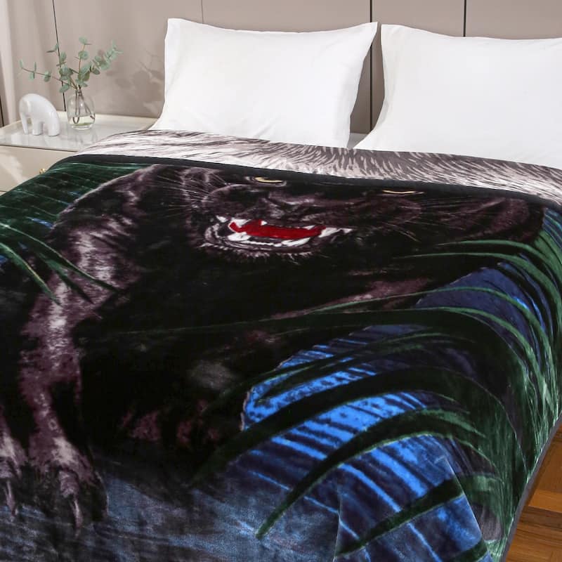 Raschel A&B Printed 2-ply Reversible Korean-style Plush Fleece Blanket