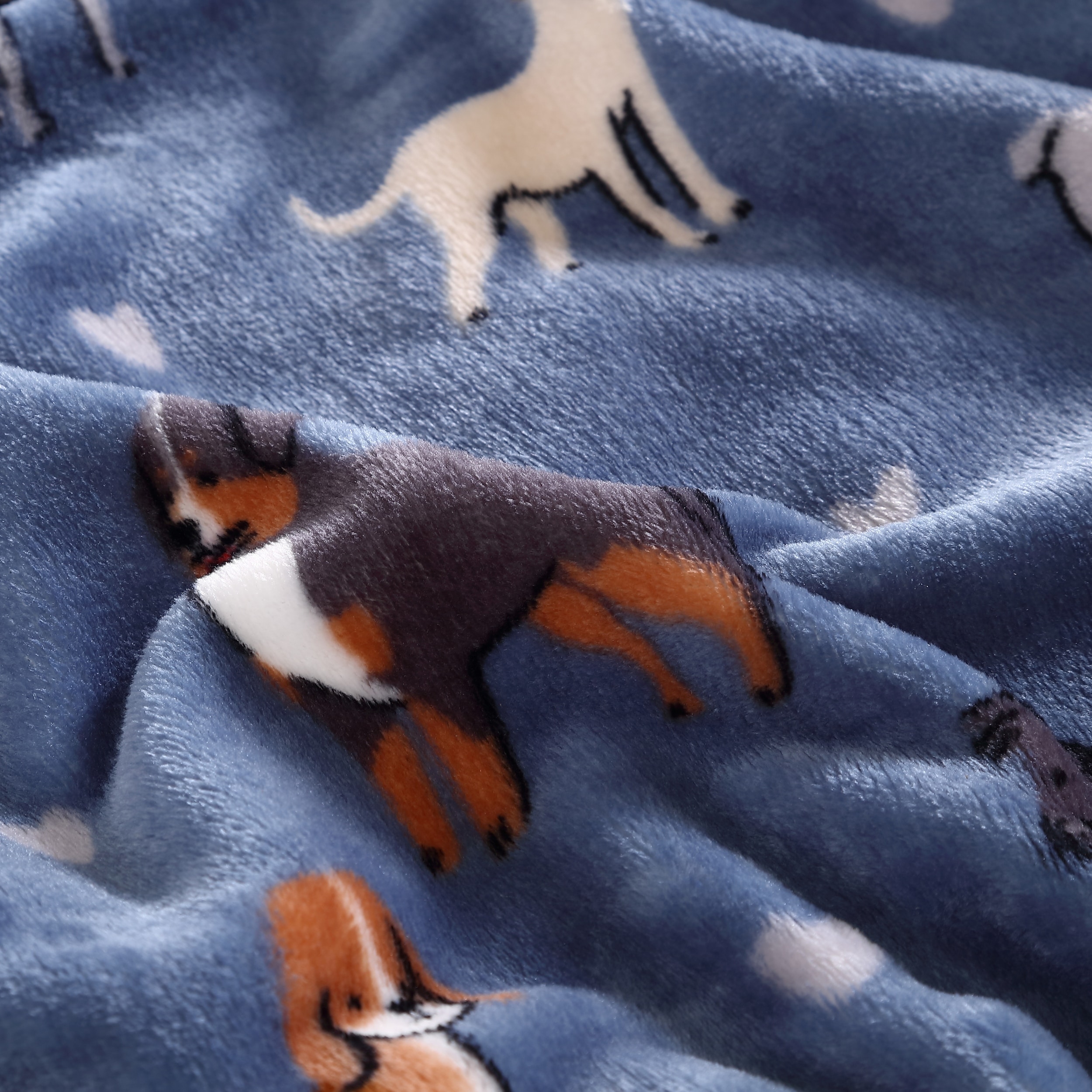 Ellen degeneres dog blanket clearance
