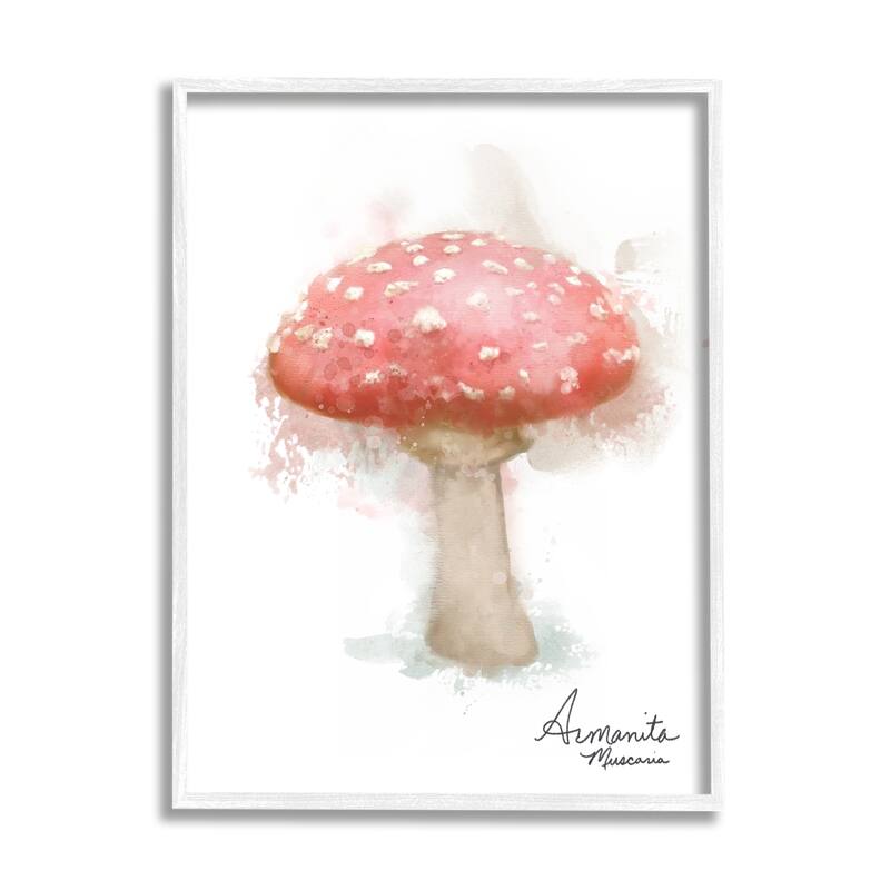 Stupell Abstract Amanita Mushroom Framed Giclee Art Design by Matthew ...