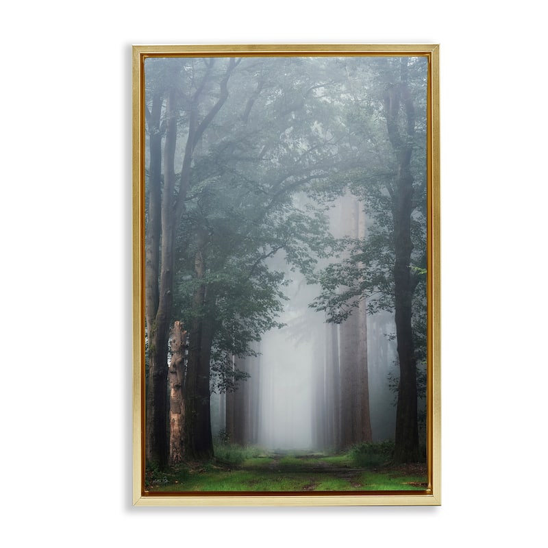 Stupell Calm Forest Clearing Framed Floater Canvas Wall Art Design By Martin Podt - 21 x 31 - Gold