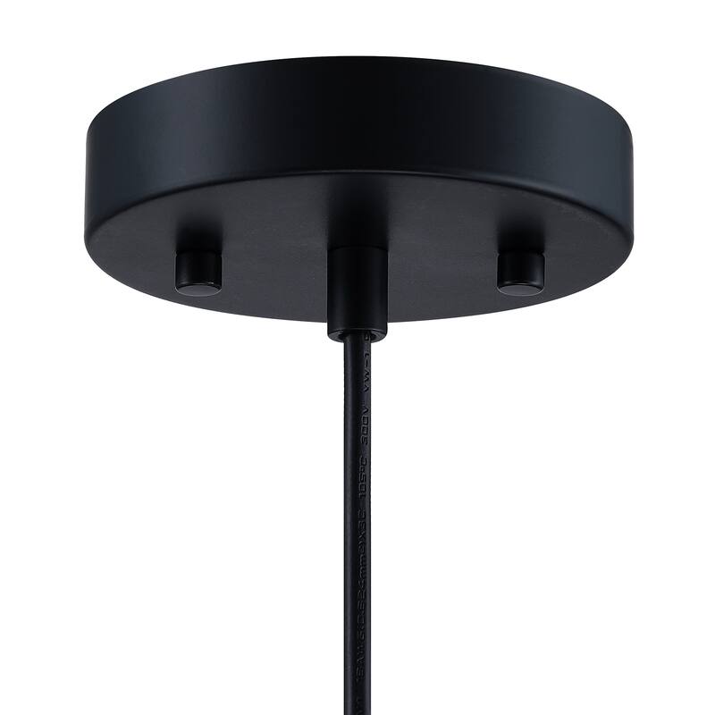 1-light pendant with black finish and steel cage shade