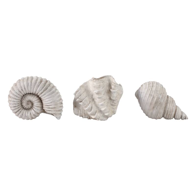 Polyresin Sculpture Coastal Shell Design (Set of 3) - 5/3" Ivory - 6.25" x 4.5" x 4.75"